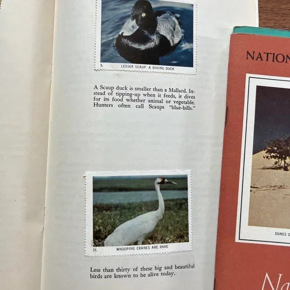 National Audubon Society Nature Program with 7 Sticker Booklets Vintage 1955 - Picture 5 of 7